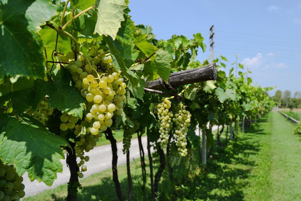 Séjour à la ferme Ca' La Pergola Vérone